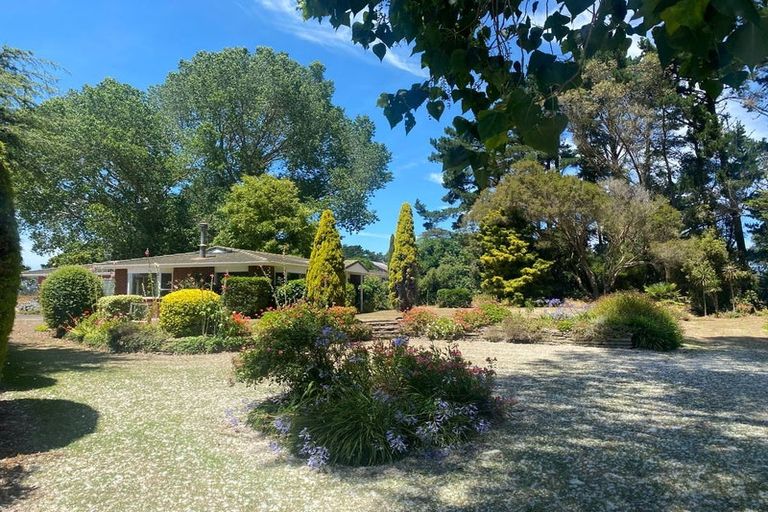 Photo of property in 906 State Highway 1, Himatangi, Foxton, 4891