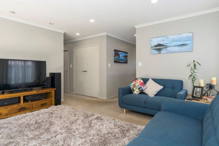 Photo of property in 65a Campbell Road, Mount Maunganui, 3116