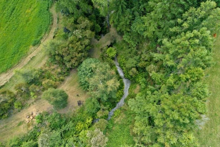 Photo of property in 57 Tiverton Downs Road, Broadlands, Reporoa, 3081