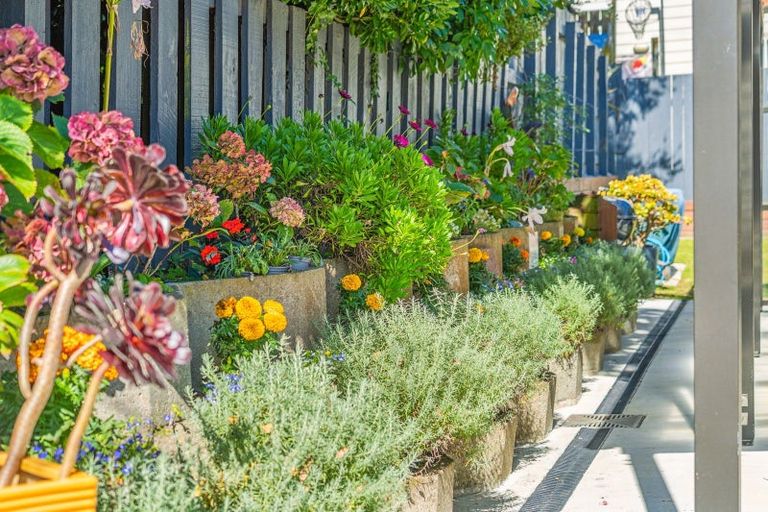 Photo of property in 22a Arawhata Street, Ranui, Porirua, 5024