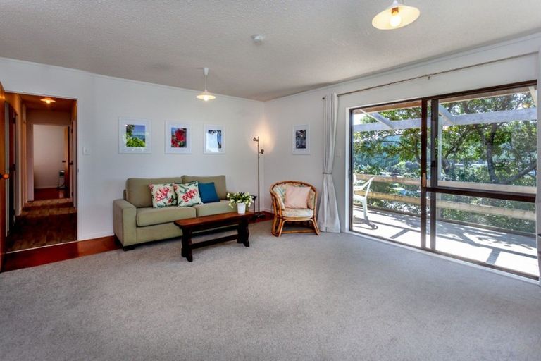 Photo of property in 325 Onemana Drive, Onemana, Whangamata, 3691