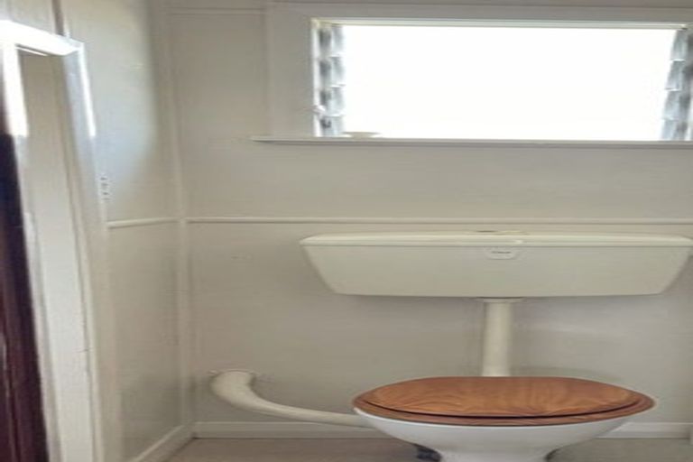 Photo of property in 14 Salisbury Avenue, Terrace End, Palmerston North, 4410