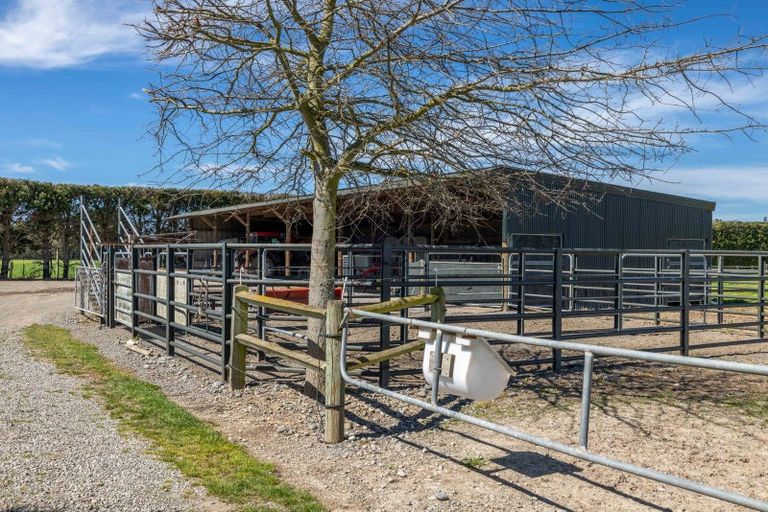 Photo of property in 154 Bradleys Road, Ohoka, Kaiapoi, 7692