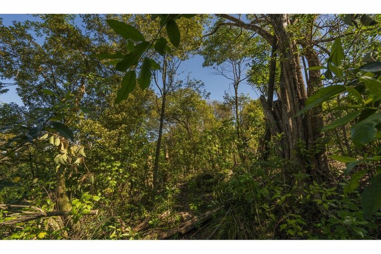 Photo of property in 130 Korokoro Crescent, Thames, 3500