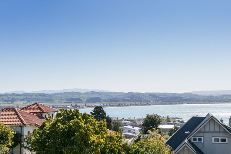 Photo of property in 19 Coleman Terrace, Hospital Hill, Napier, 4110