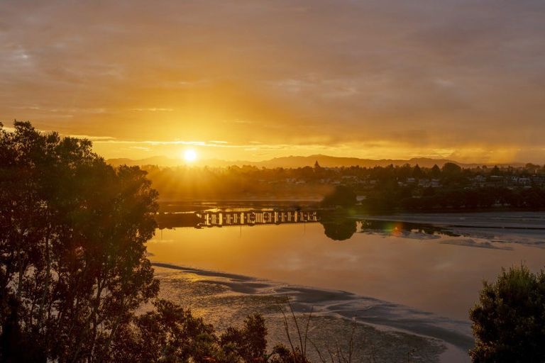 Photo of property in 31 Ririnui Place, Maungatapu, Tauranga, 3112