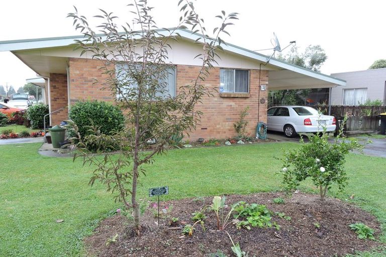 Photo of property in 1a Smith Street, Matamata, 3400