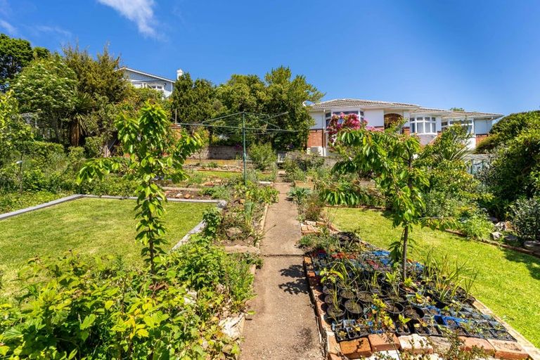 Photo of property in 41 Skibo Street, Kew, Dunedin, 9012