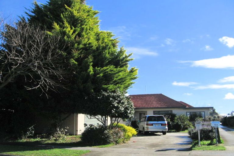 Photo of property in 705 Riverslea Road South, Akina, Hastings, 4122