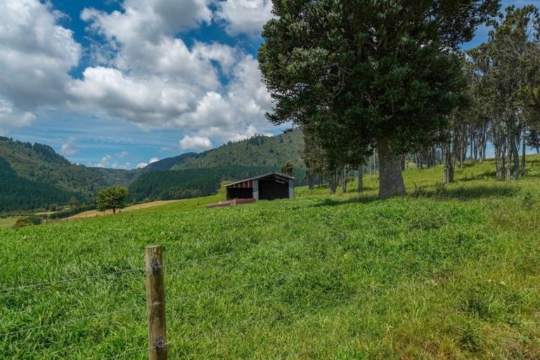 Photo of property in 57 Hall Road, Matua, Tauranga, 3110