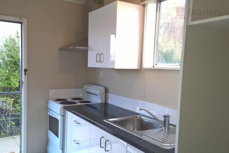 Photo of property in 45 Whitmore Street, Edgeware, Christchurch, 8013