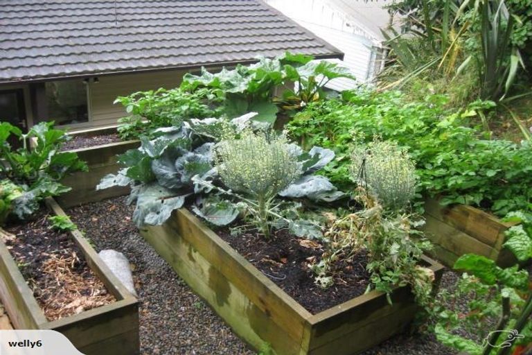 Photo of property in 23 Norwich Street, Wadestown, Wellington, 6012