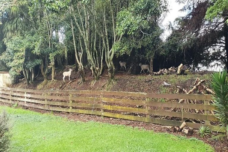 Photo of property in 1875 Kanakanaia Road, Whatatutu, Te Karaka, 4091