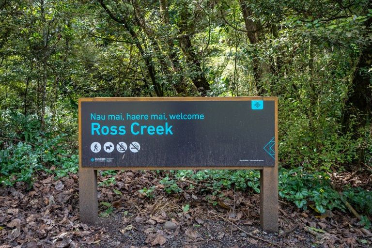 Photo of property in 9 Islay Street, Glenleith, Dunedin, 9010