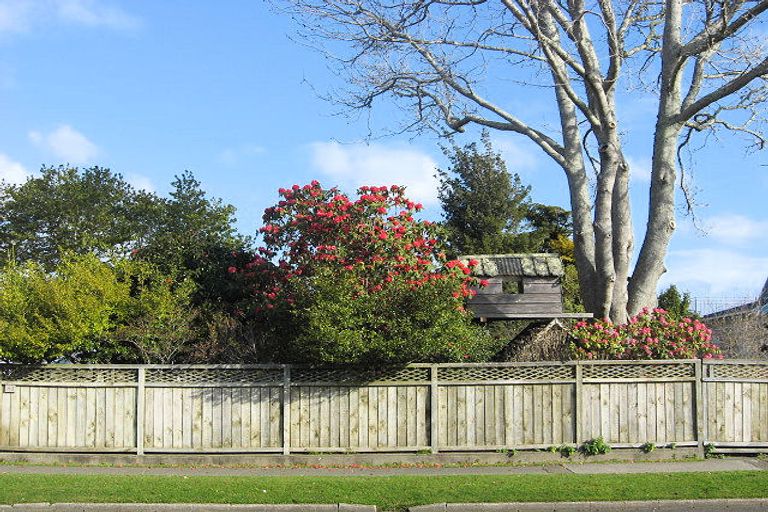 Photo of property in 51 Bridge Street, Whakatane, 3120