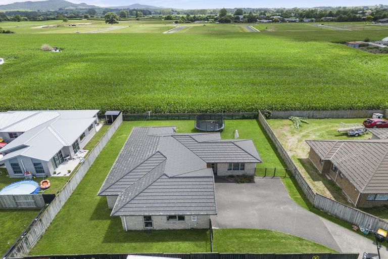 Photo of property in 11 Birchwood Lane, Matamata, 3400