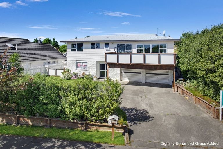Photo of property in 233 Weld Street, Witherlea, Blenheim, 7201