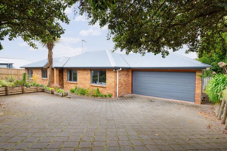 Photo of property in 57 Forest Lake Road, Forest Lake, Hamilton, 3200