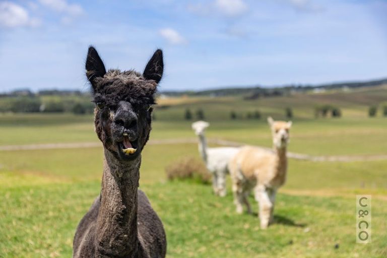 Photo of property in 279 Fordyce Road, Helensville, 0874