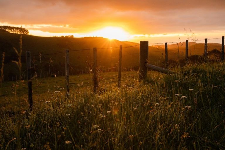 Photo of property in 307 Dill Road, Kaipara Flats, Warkworth, 0984