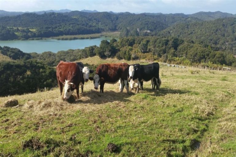 Photo of property in 68 Ranui Road, Karetu, 0283