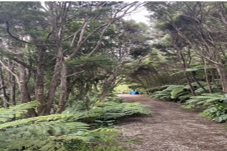 Photo of property in 341 Upper Harbour Drive, Greenhithe, Auckland, 0632