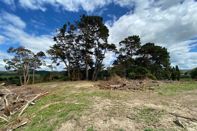 Photo of property in 490 River Road, Kumeroa, Woodville, 4997