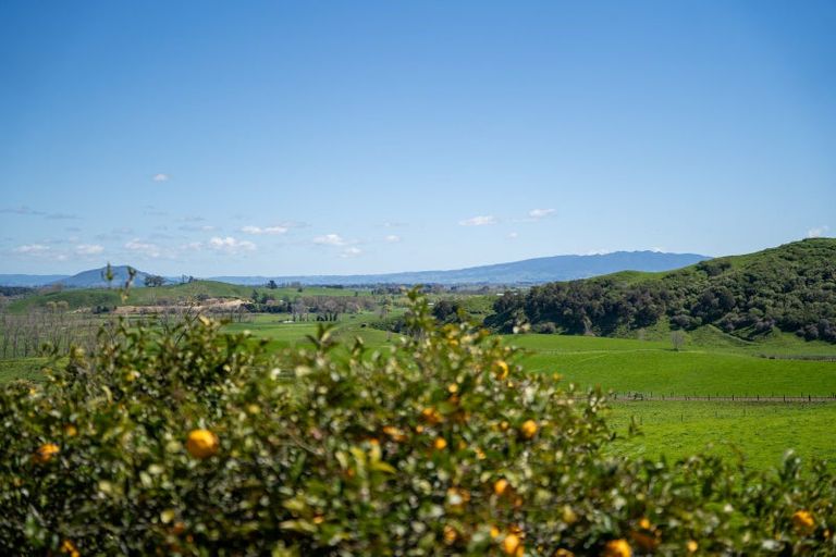 Photo of property in 228 Norwegian Road, Rotoorangi, Cambridge, 3495
