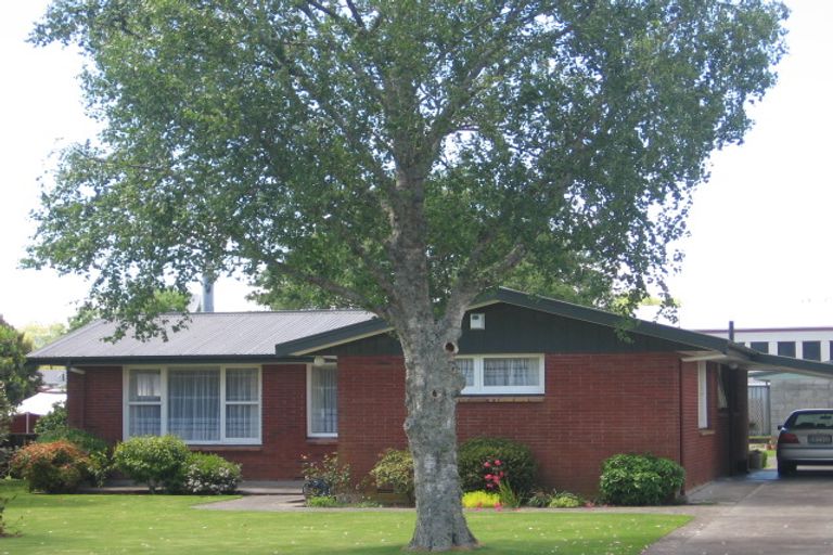 Photo of property in 38 Sheffield Street, Matamata, 3400