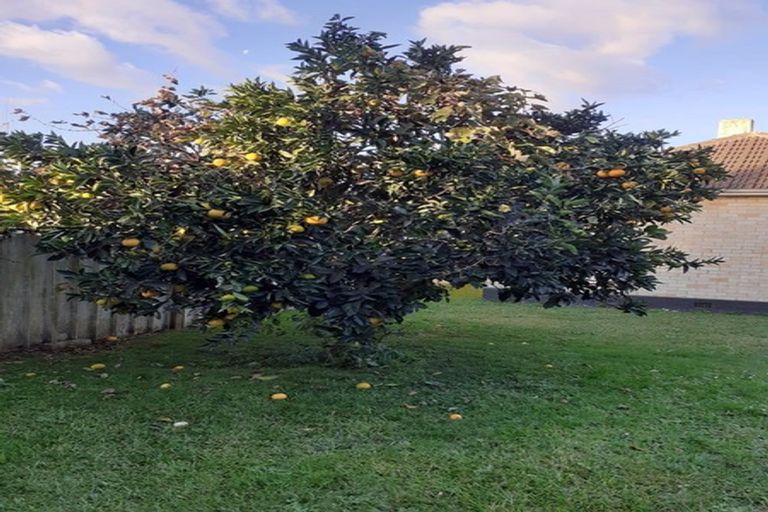 Photo of property in 39 Kenney Crescent, Fairfield, Hamilton, 3214