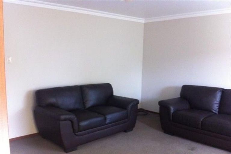 Photo of property in 36 Littlebourne Road, Roslyn, Dunedin, 9010