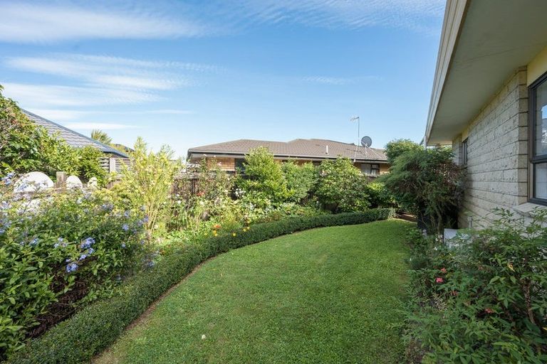 Photo of property in 93b Halifax Street East, The Wood, Nelson, 7010