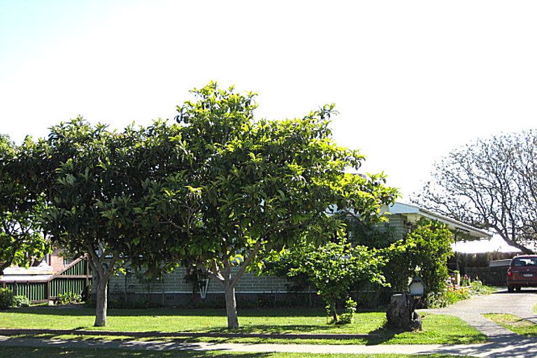 Photo of property in 150 Weld Street, Redwoodtown, Blenheim, 7201