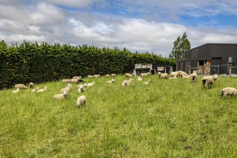 Photo of property in 61 Loburn Whiterock Road, Loburn, Rangiora, 7472