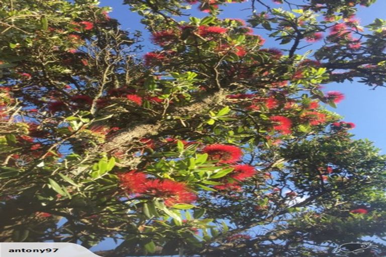 Photo of property in 99 Kaikoura Street, Maupuia, Wellington, 6022