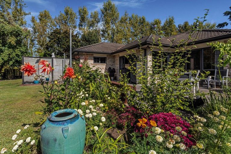 Photo of property in 131a Hogg Road, Rotoma, Whakatane, 3192