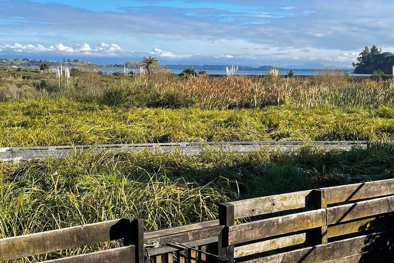 Photo of property in 11b Westwood Street, Bellevue, Tauranga, 3110