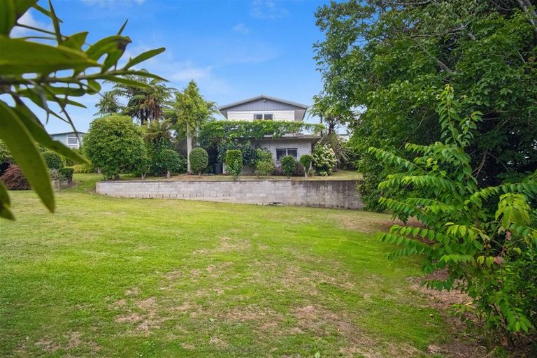 Photo of property in 12 Philip Street, Putaruru, 3411