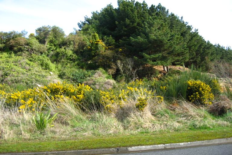 Photo of property in 1/56 Elizabeth Street, Bluff, 9814