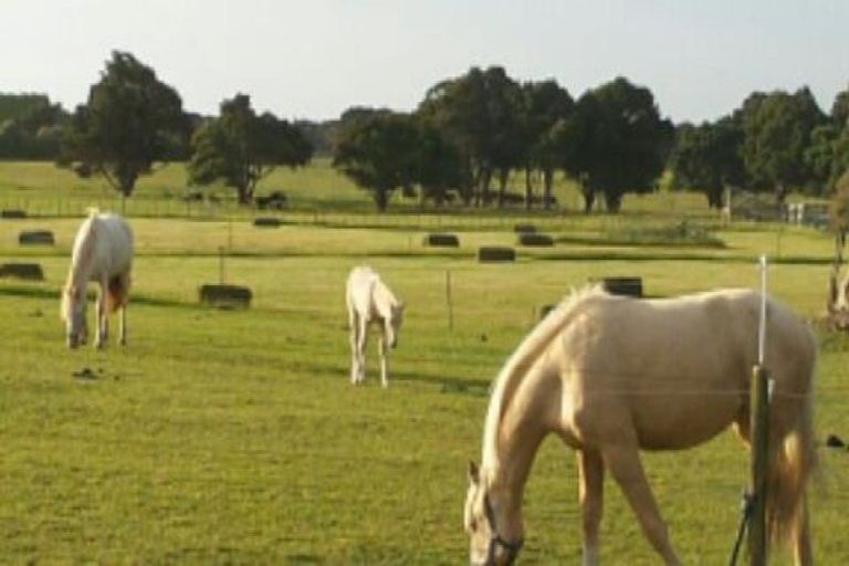 Photo of property in 115a Arcus Road, Te Horo, Otaki, 5582