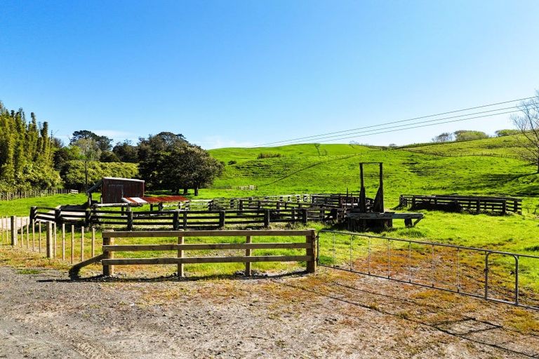 Photo of property in 445 Avoca Road, Mamaranui, Dargaville, 0372
