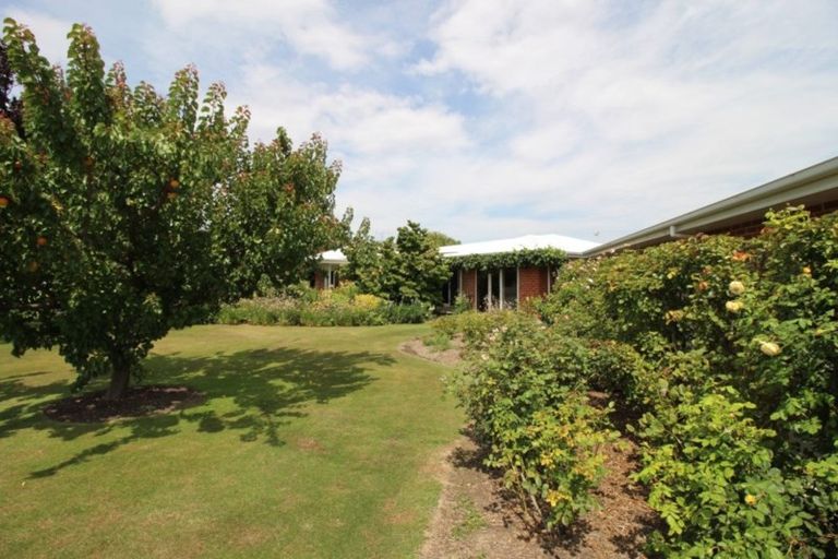 Photo of property in 36 Ventry Street, Alexandra, 9320