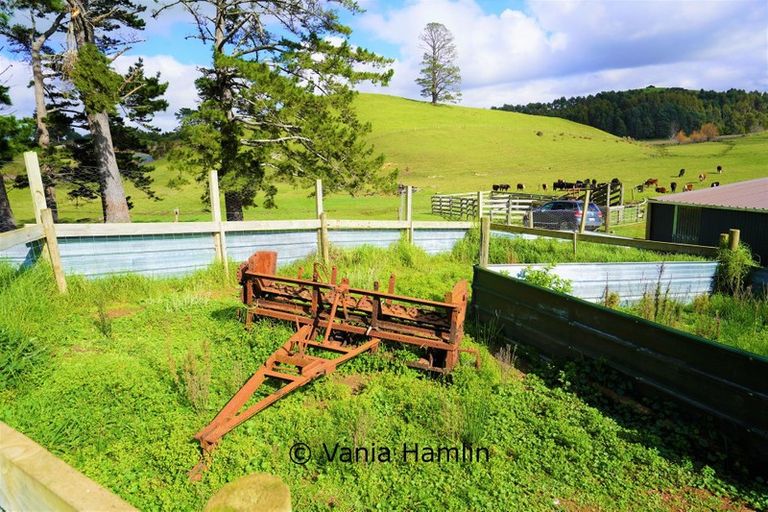 Photo of property in 533 Pataua South Road, Pataua South, Onerahi, 0192