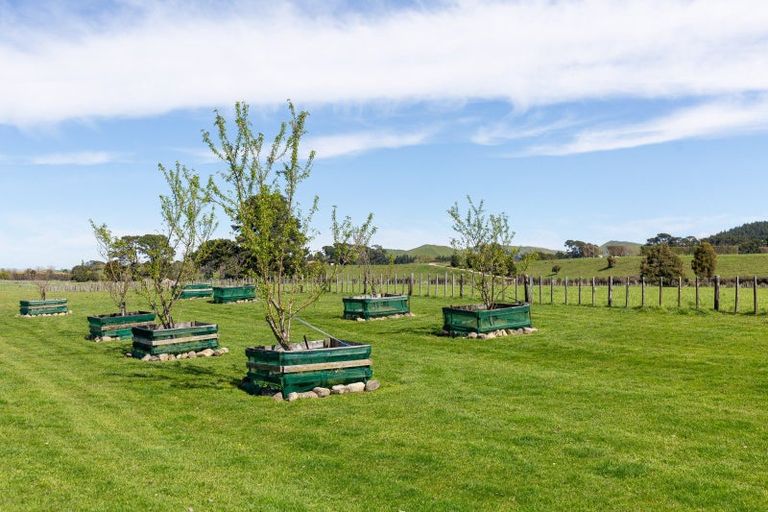 Photo of property in 1827 State Highway 2, Kiriwhakapapa, Masterton, 5881