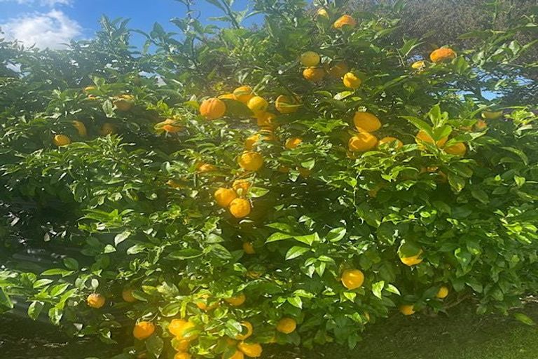 Photo of property in 37 Grey Street, Shannon, 4821