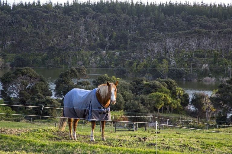 Photo of property in 487 Wilson Road, South Head, Helensville, 0874