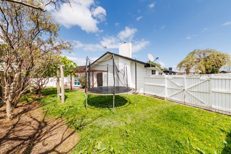 Photo of property in 286 Tremaine Avenue, Takaro, Palmerston North, 4412