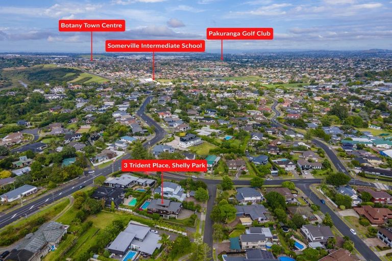 Photo of property in 3 Trident Place, Shelly Park, Auckland, 2014