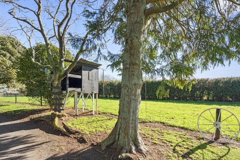 Photo of property in 955 Maungatautari Road, Maungatautari, Cambridge, 3494