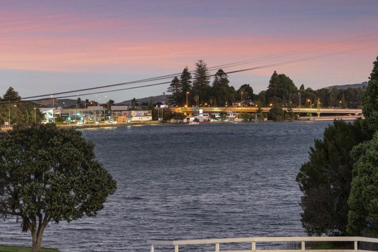 Photo of property in 65a Maxwells Road, Otumoetai, Tauranga, 3110